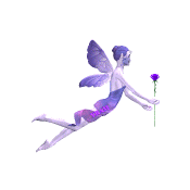 fairy-flying